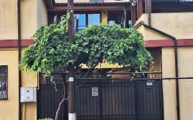 Vila Trandafir